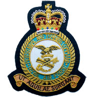 RAF Personnel & Training Command Wire Blazer Badge
